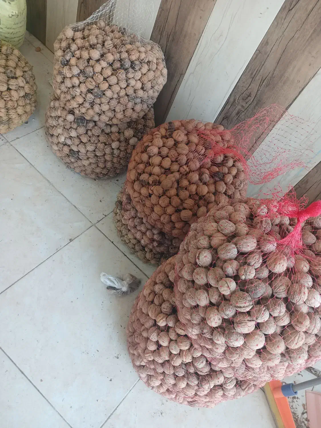 گردو|عمده‌فروشی|زاینده رود, |دیوار