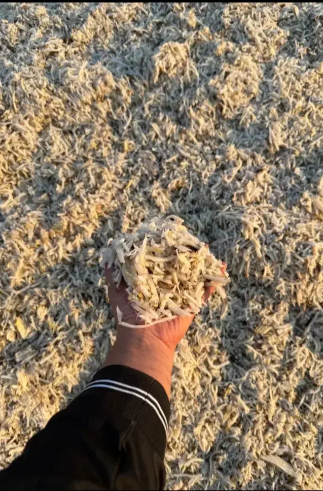 شبانه روزی خدمت شما عزیزان|حیوانات مزرعه|کرج, خرمدشت|دیوار