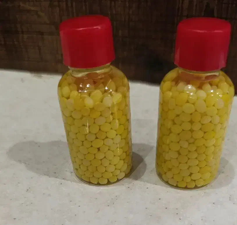 خاویار حلزون ۹۰۰ عدد ۵۰۰ تومان|خزنده|شیراز, احمدآباد|دیوار