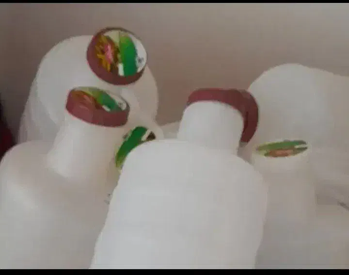 دبه خیارشور|ظروف نگهدارنده، پلاستیکی، یک‌بارمصرف|مریوان, |دیوار