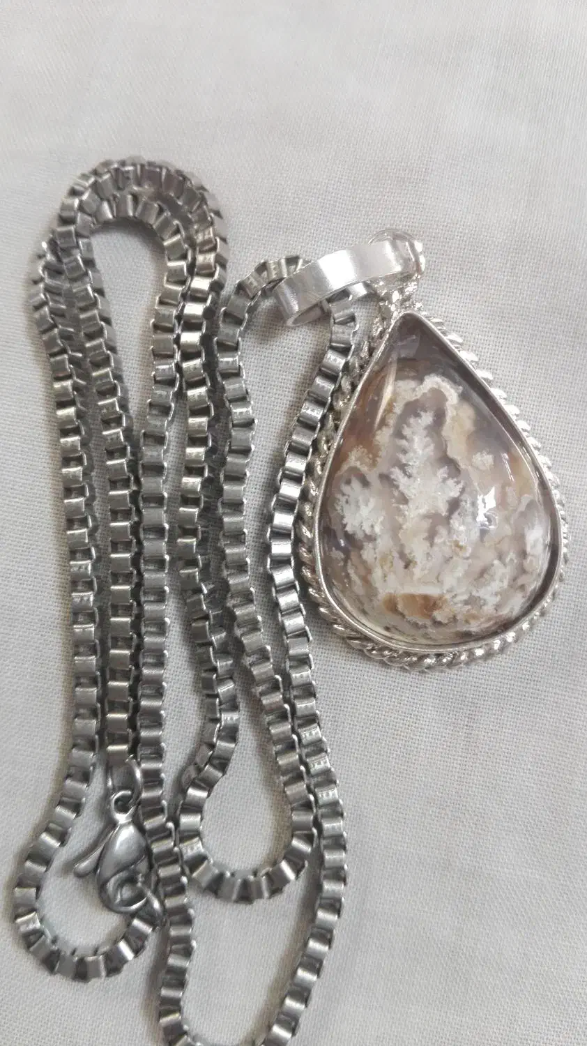 شجر گردنی شکوفه|بدلیجات|مهریز, |دیوار