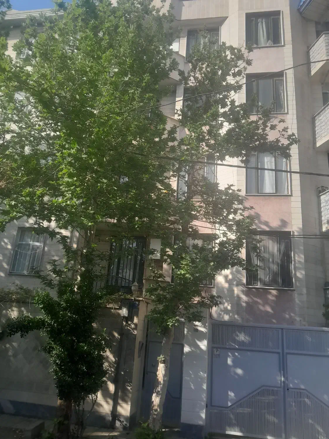 فروش آپارتمان طالقانی جنوبی