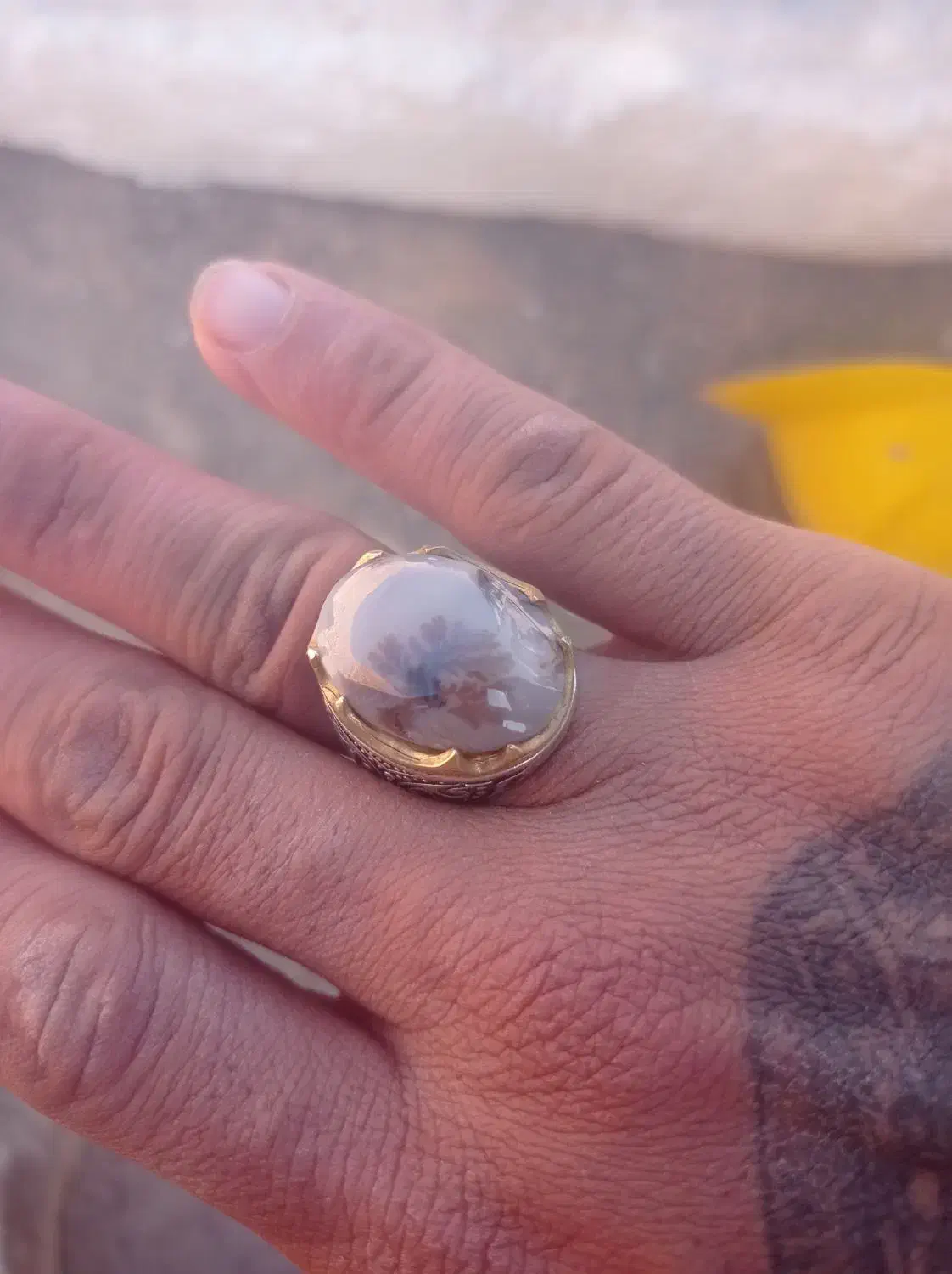 انگشتر شجر|کلکسیون اشیاء عتیقه|شیراز, گویم|دیوار