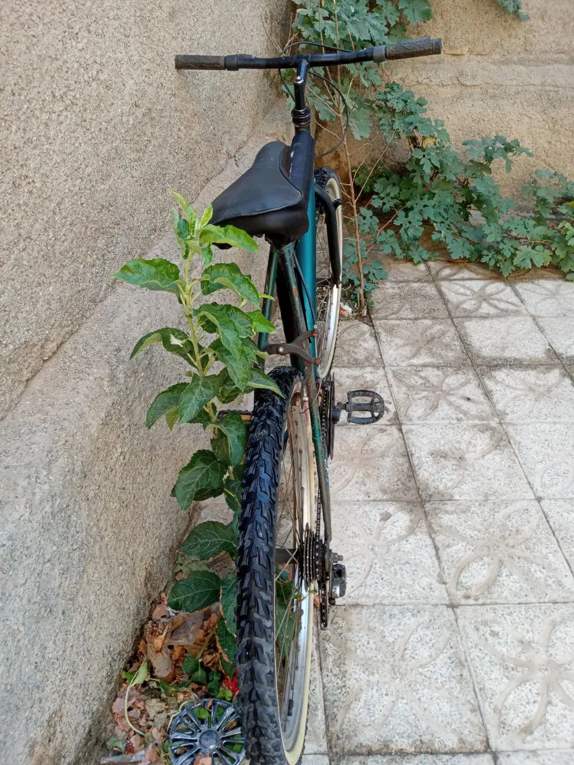 دوچرخه|دوچرخه، اسکیت، اسکوتر|محمدشهر, ولدآباد|دیوار