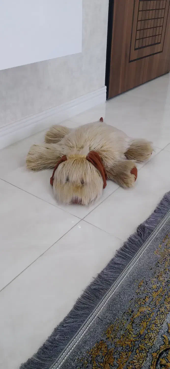 عروسک درحدنو|اسباب‌بازی بچه|رشت, حمیدیان|دیوار