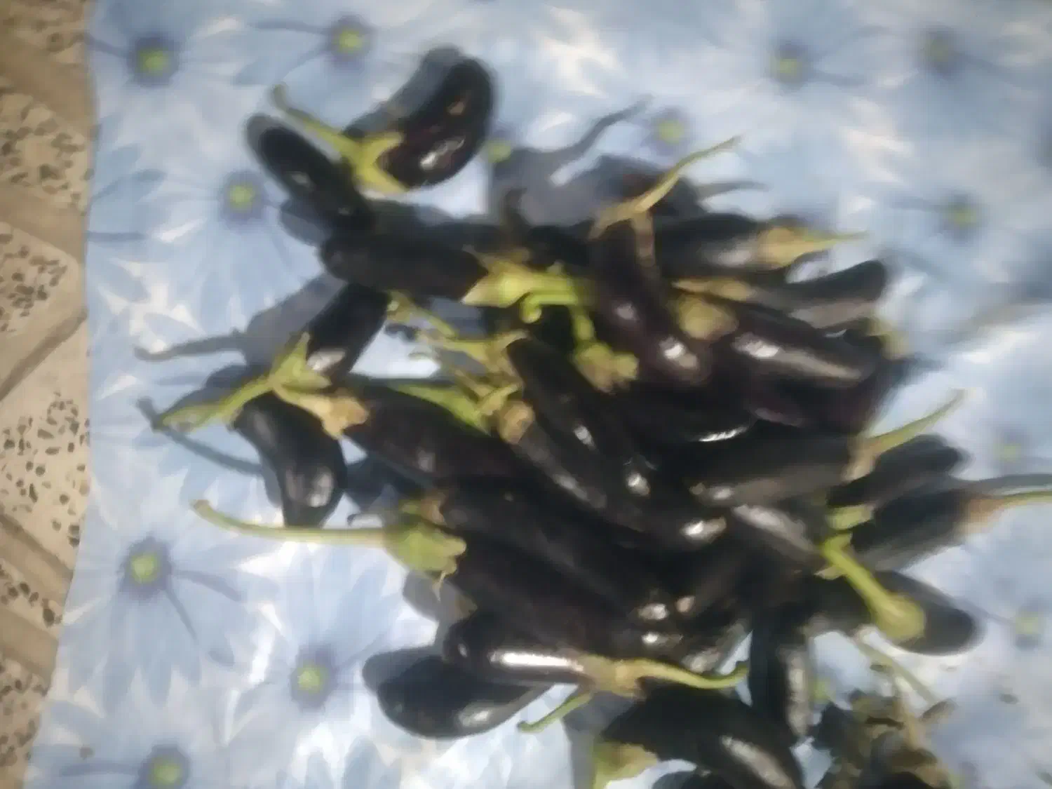 بادمجان بوسان|خوردنی و آشامیدنی|کوهدشت, |دیوار