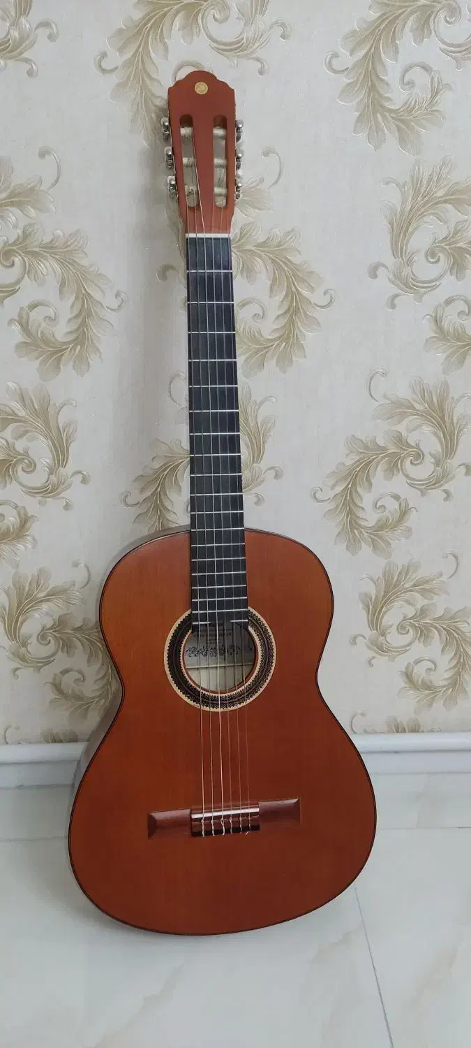 گیتار نو همراه با کیف کتاب|گیتار، بیس، امپلیفایر|نسیمشهر, |دیوار