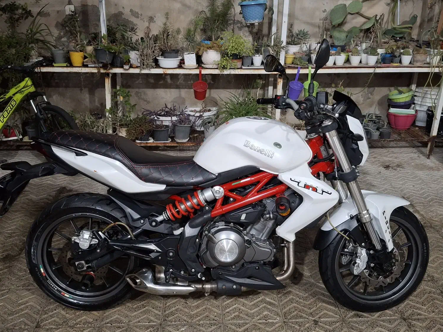 بنلی ۳۰۰ دو سیلندر|موتورسیکلت|شهریار, بکه|دیوار