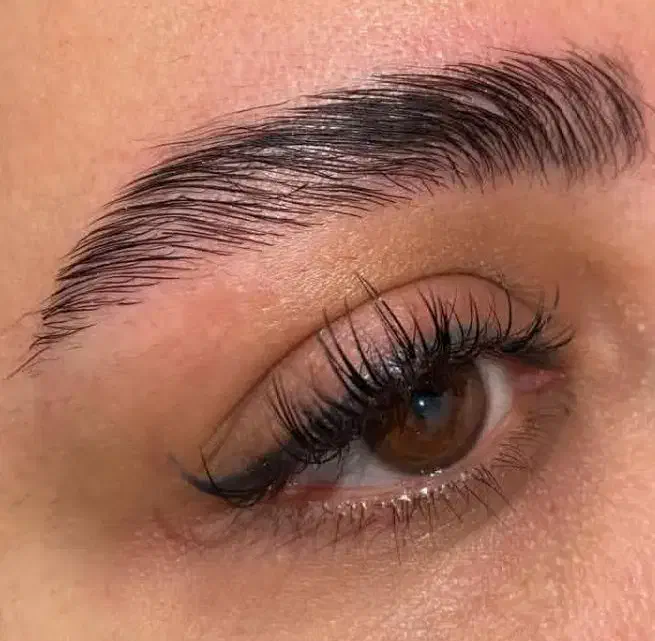 خدمات تخصصی لیفت ابرو و لیفت مژه شیراز|خدمات آرایشگری و زیبایی|شیراز, کوی فرهنگیان|دیوار