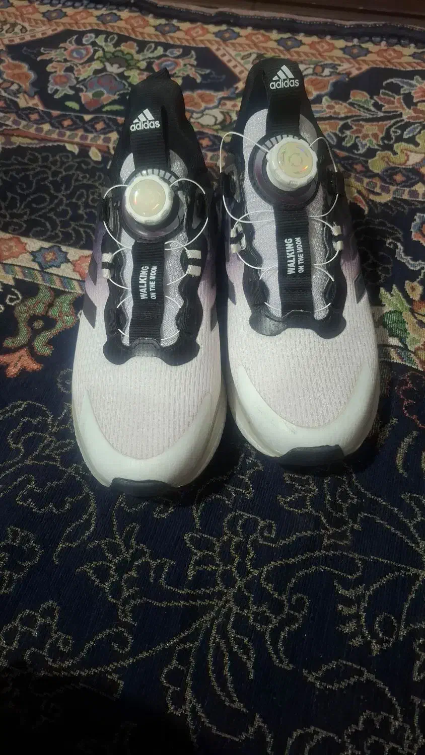 کفش آدیداس|کیف، کفش، کمربند|کرمانشاه, |دیوار