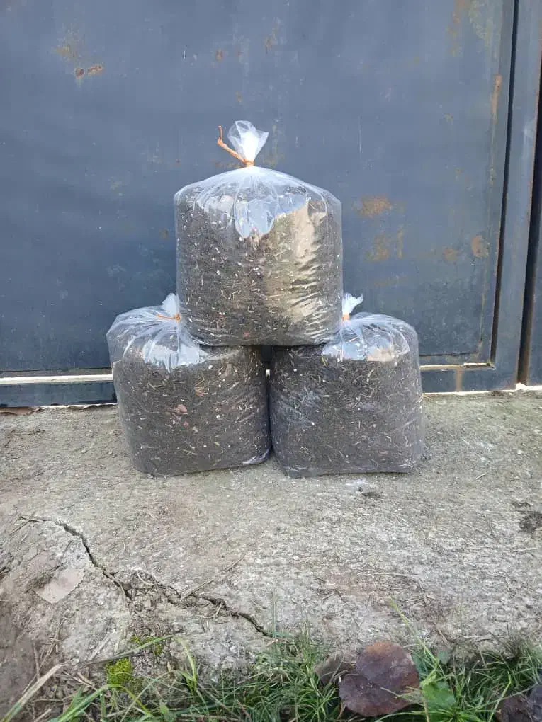 فروش خاک باغچه ای و بسته بندی خاک سبک و سنگین|خدمات باغبانی و درختکاری|شلمان, |دیوار