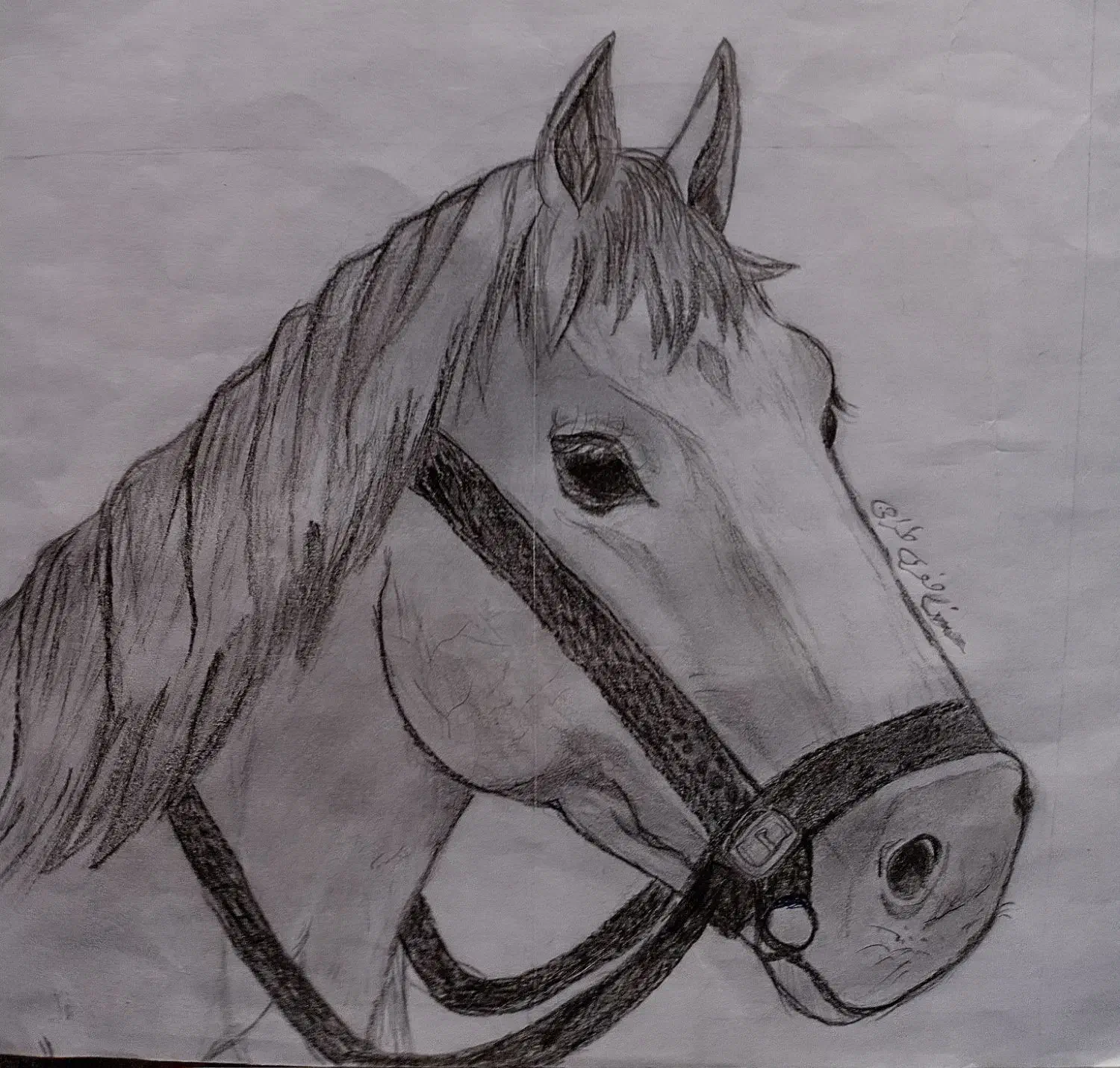 طراحی|تابلو، نقاشی، عکس|دشتابی, |دیوار