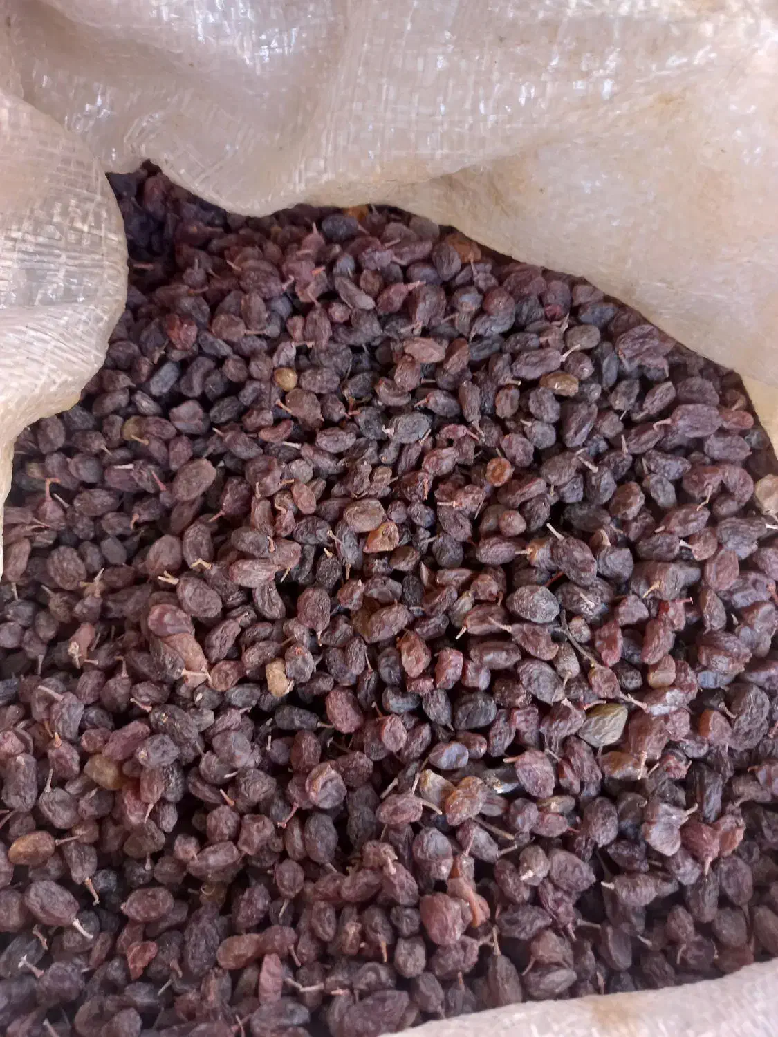 کشمش پلویی افتابی|خوردنی و آشامیدنی|اسلام‌شهر, شهرک واوان|دیوار