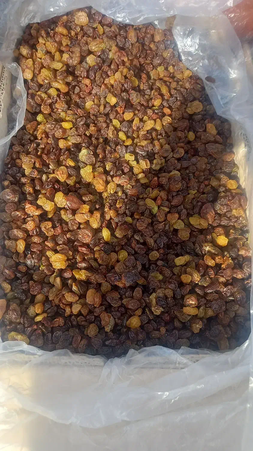 کشمش صنعتی ابگیری|عمده‌فروشی|اهواز, فاز ۲ پادادشهر|دیوار