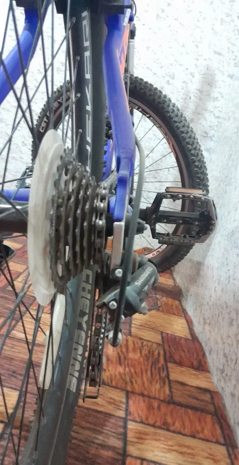 دوچرخه|دوچرخه، اسکیت، اسکوتر|گنبد کاووس, |دیوار