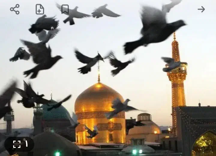 تور زیارتی مشهد مقدس وکربلا|تور و چارتر|اردبیل, |دیوار