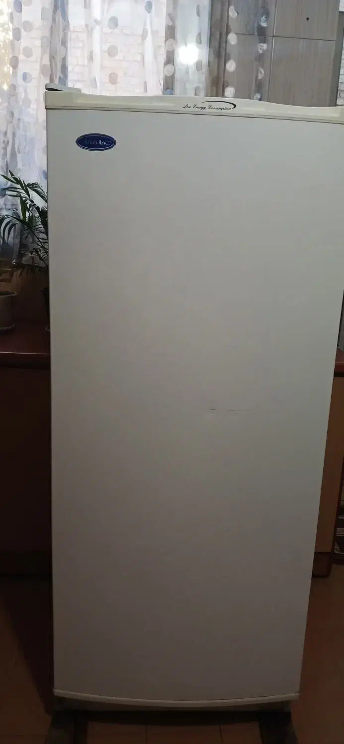 فریزر جنرال استیل|یخچال و فریزر|یزد, |دیوار