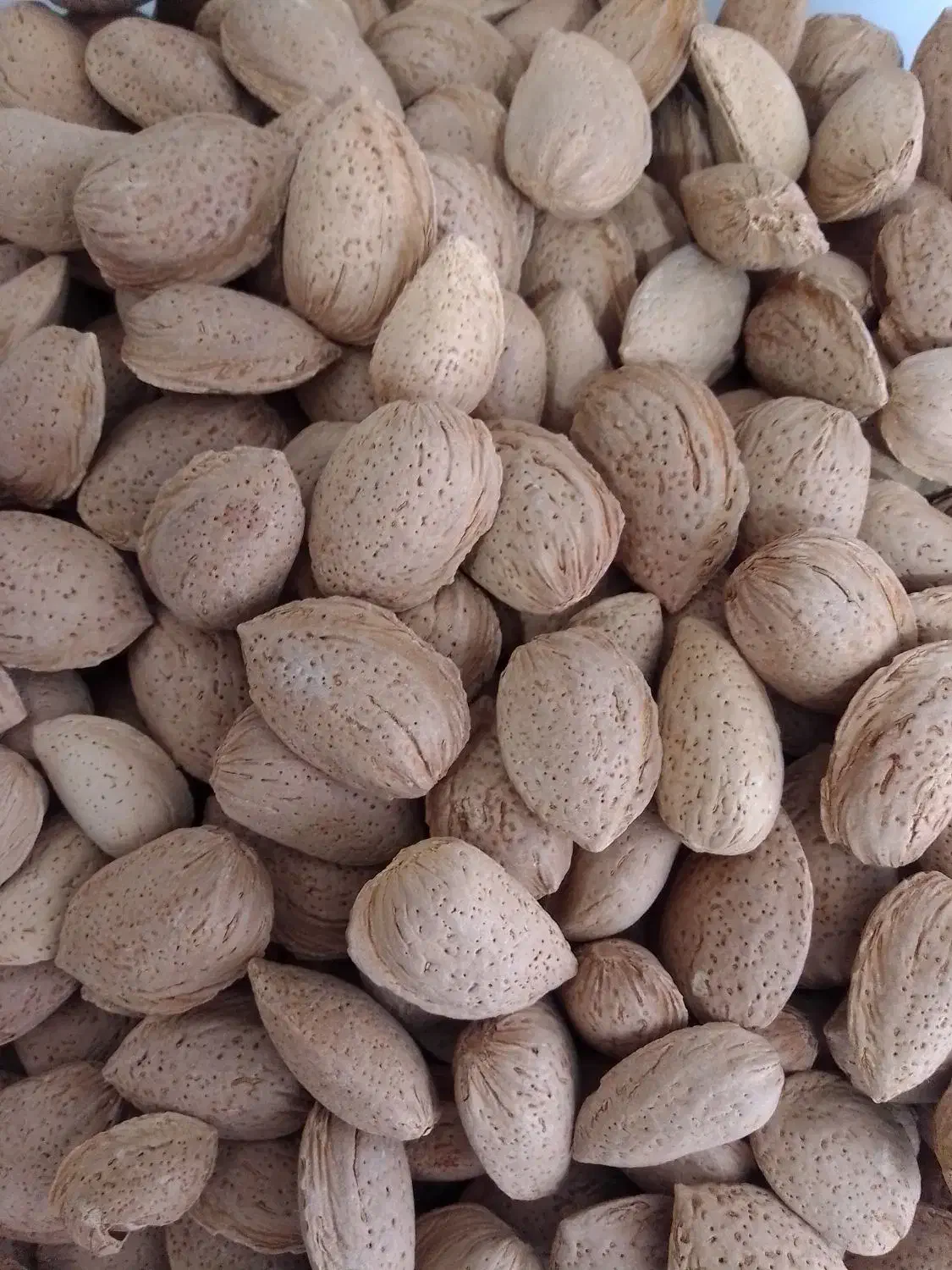 بادام+|خوردنی و آشامیدنی|قم, باسکول|دیوار