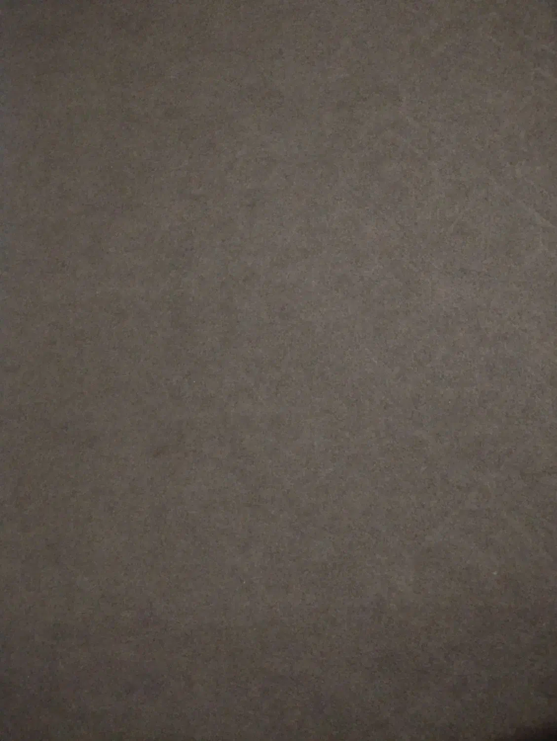 موکت قهوه ای|موکت|تربتحیدریه, داروپخش|دیوار