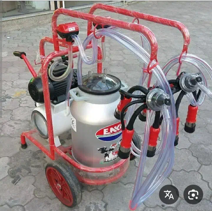 شیردوش گاو|لوازم جانبی حیوانات|ایلخچی, |دیوار