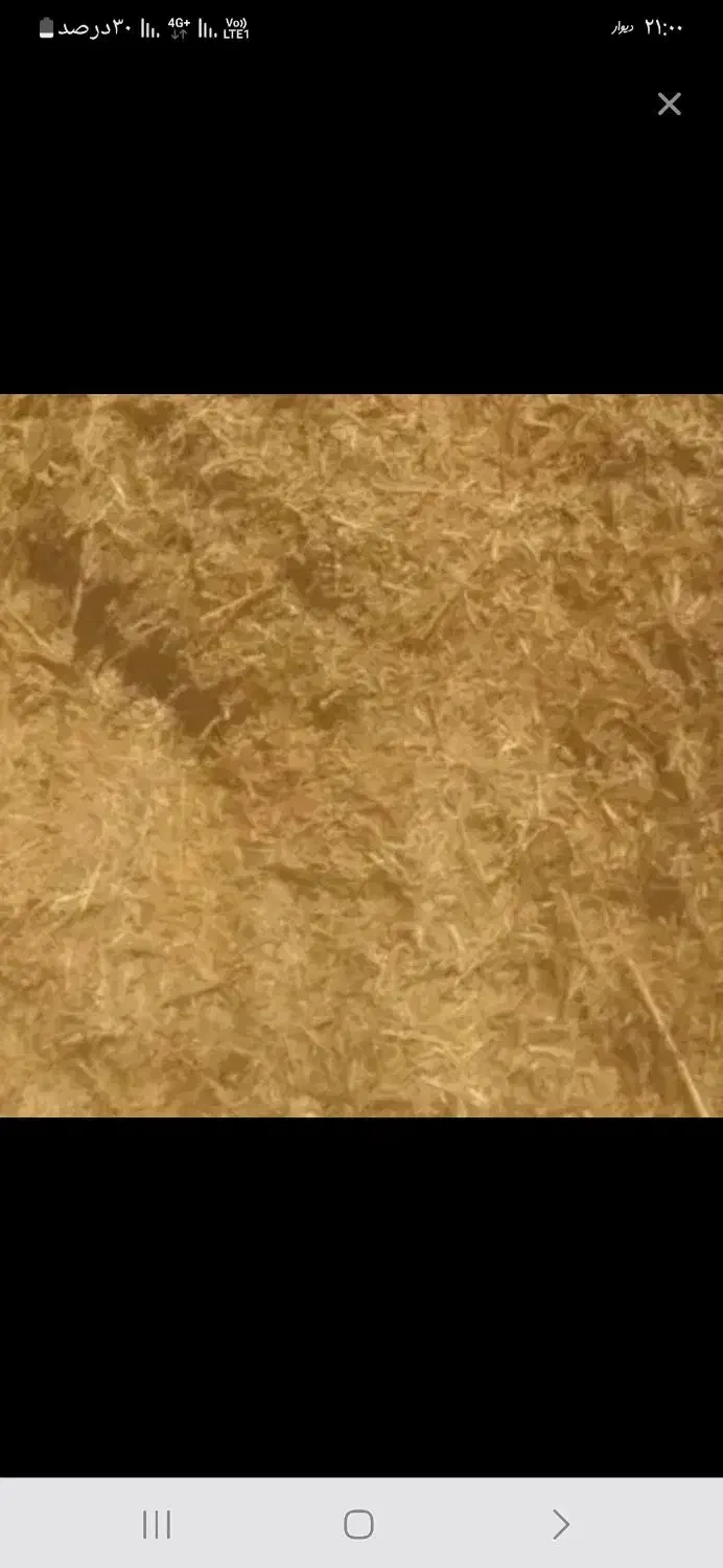 کاه لوبیا|لوازم جانبی حیوانات|فرمهین, |دیوار