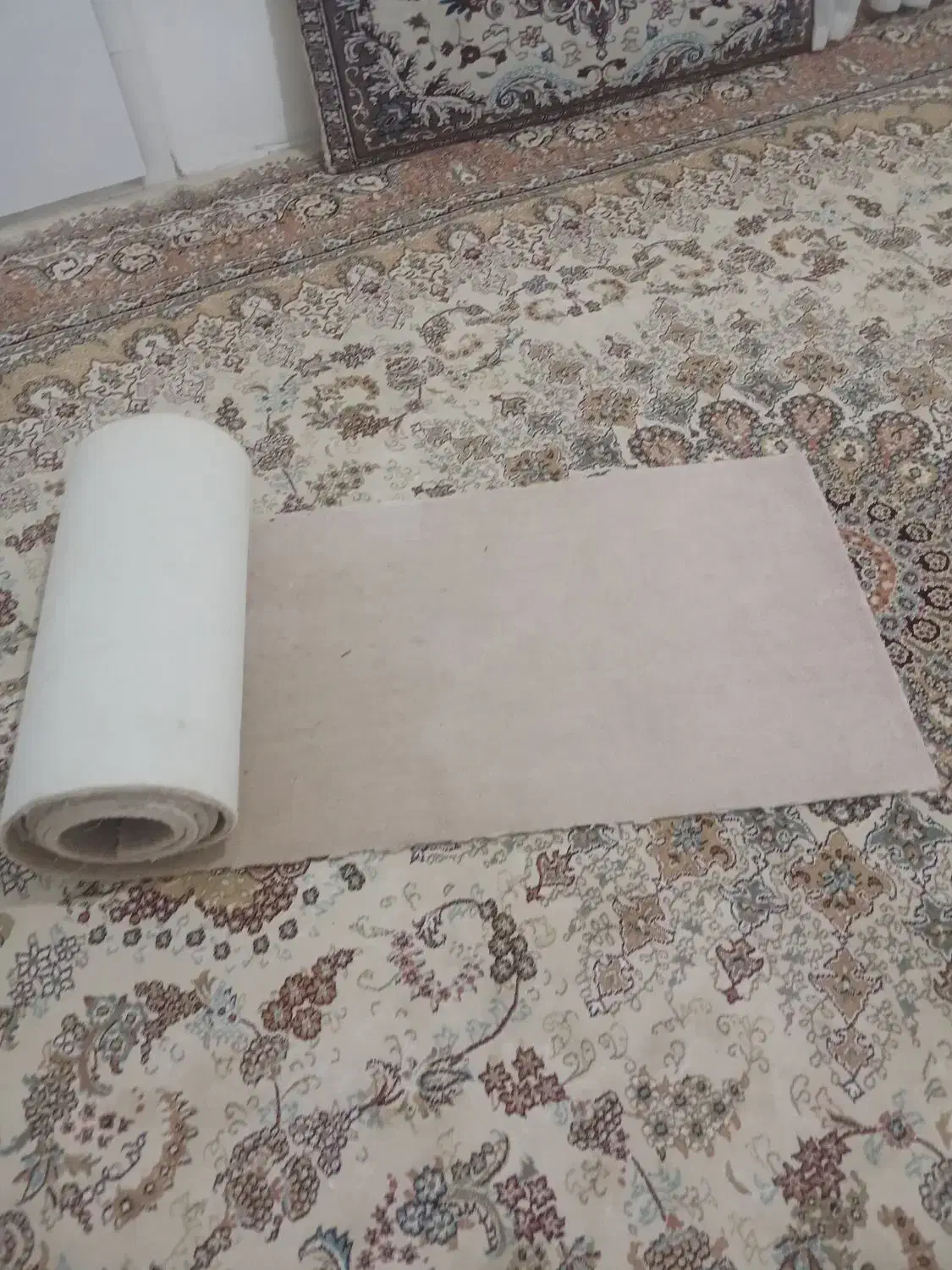 موکت ظریف مصور|موکت|گلبهار, شهر جدید گلبهار|دیوار