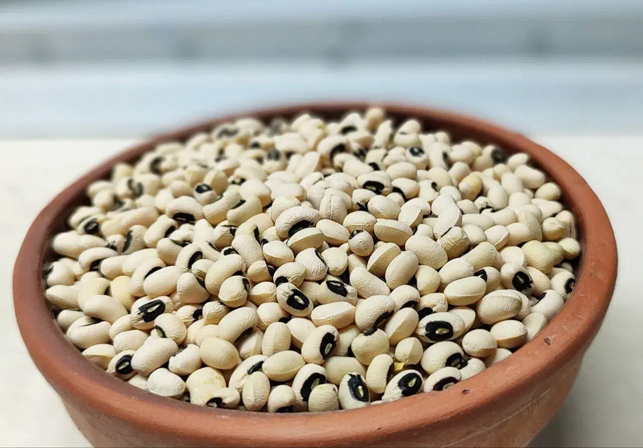 لوبیا چشم بلبلی درجه یک امسالی|خوردنی و آشامیدنی|سوری, |دیوار