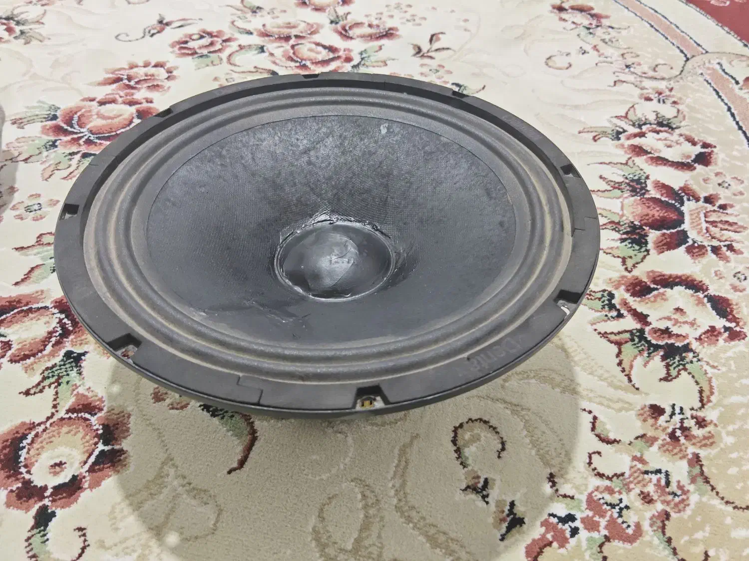 یک عدد میدرنج ۱۰ اینچ دنتکس|سیستم صوتی خانگی|محمدشهر, همایون ویلا|دیوار