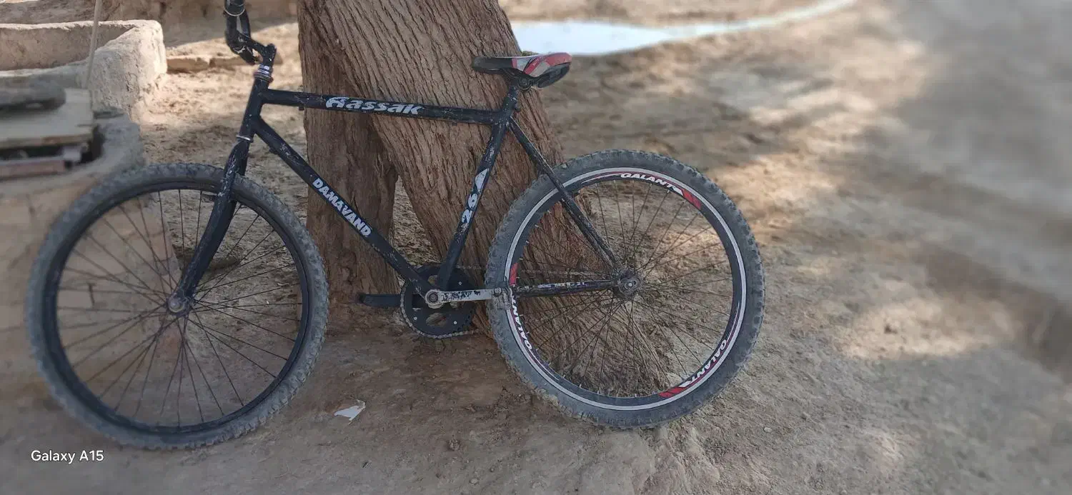 دوچرخه ۲۶|دوچرخه، اسکیت، اسکوتر|کرباسک, |دیوار