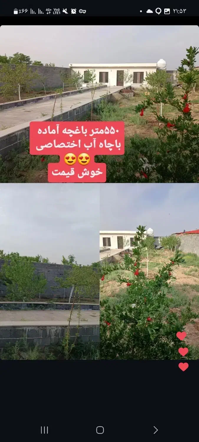 ۵۵۰متر باغ آماده سرآسیاب علی آباد رباط کریم|فروش دفتر صنعتی، کشاورزی، تجاری|رباط‌کریم, شهرستانک|دیوار