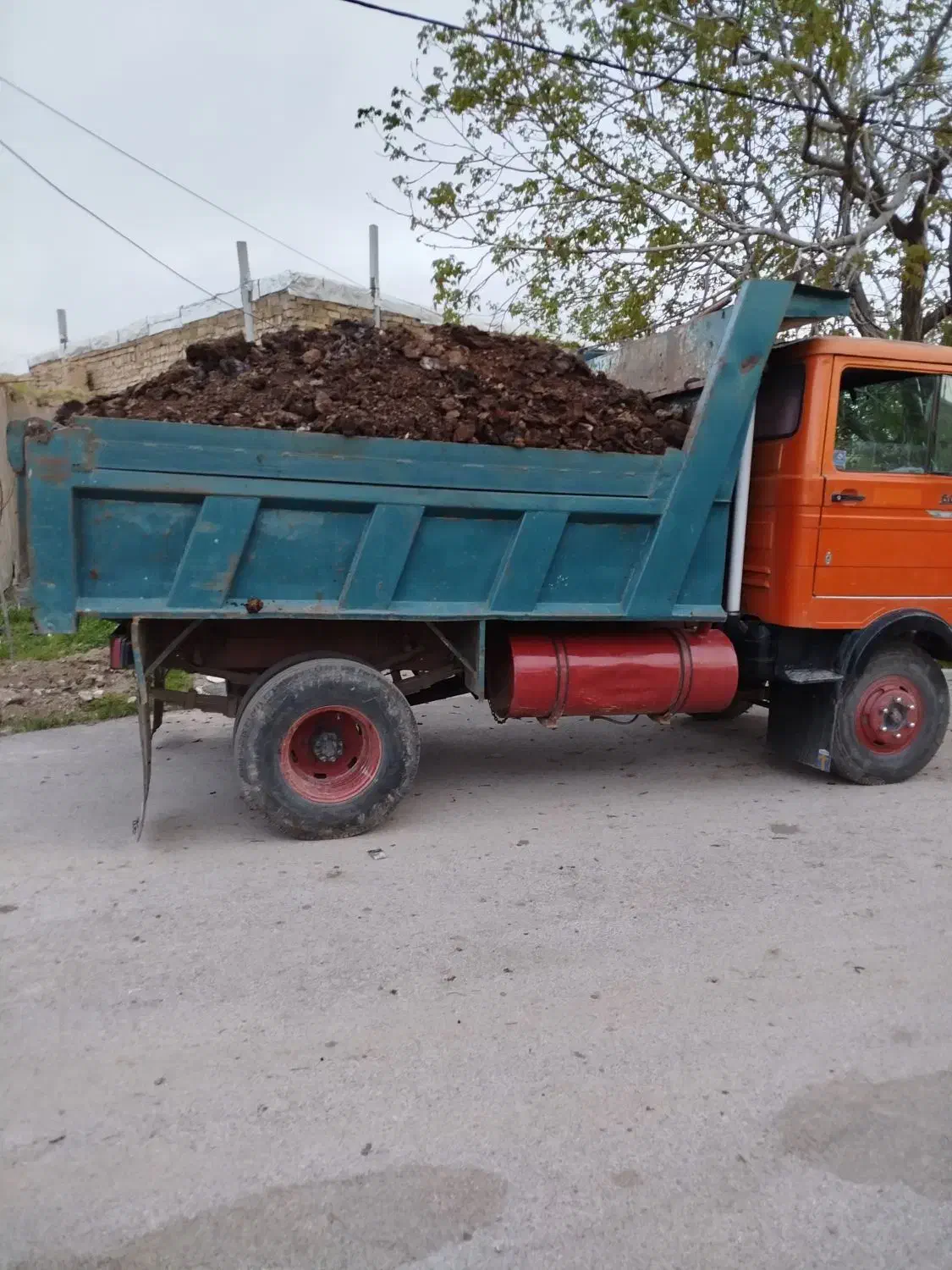 حمل کود حیوانی کود گاوی گوسفندی کود خشک و پوسیده|خدمات باغبانی و درختکاری|بروجرد, |دیوار