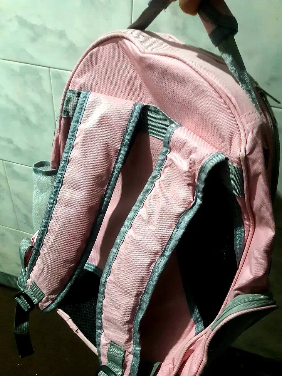 کیف حمل حیوانات خانگی .شکل فضایی|لوازم جانبی حیوانات|بانه, |دیوار