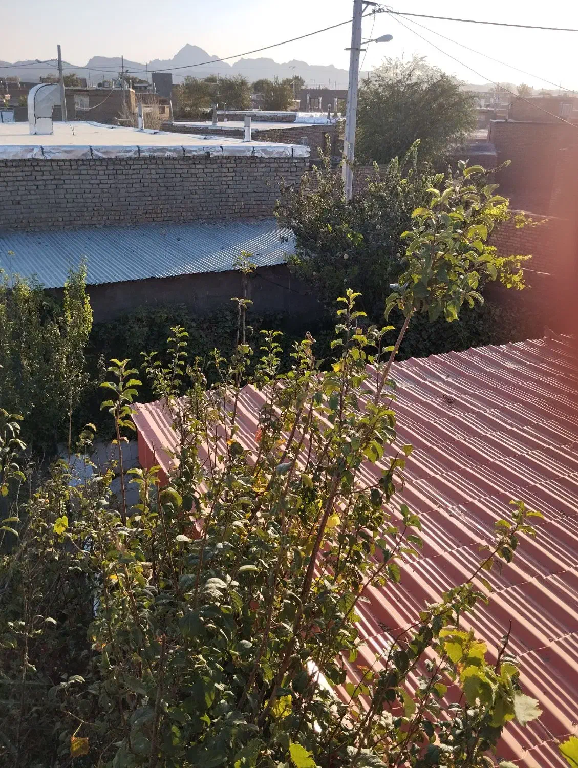 خانه باغ دوبلکس 120متربنا بادرخت واستخر کلا 380متر|فروش خانه و ویلا|زاوه, |دیوار