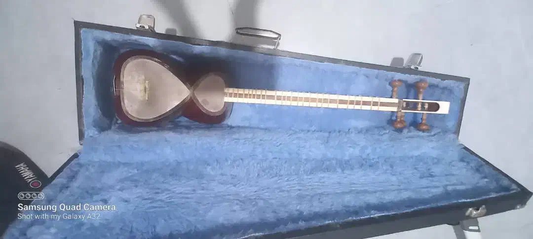 تار|سازهای سنتی|اصفهان, بهارستان|دیوار