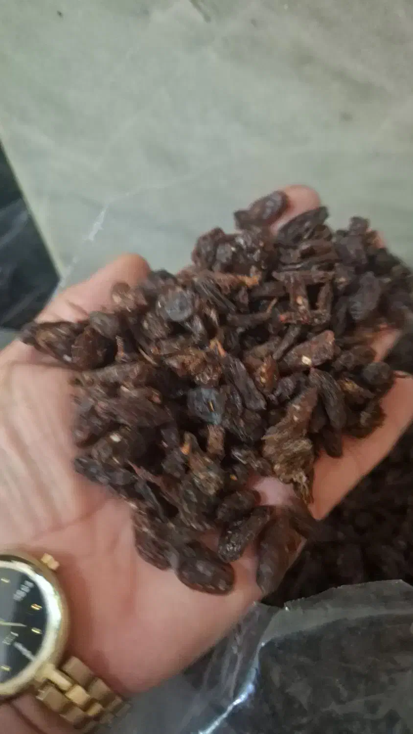 خوردنی و آشامیدنی|خوردنی و آشامیدنی|خمینیشهر, |دیوار