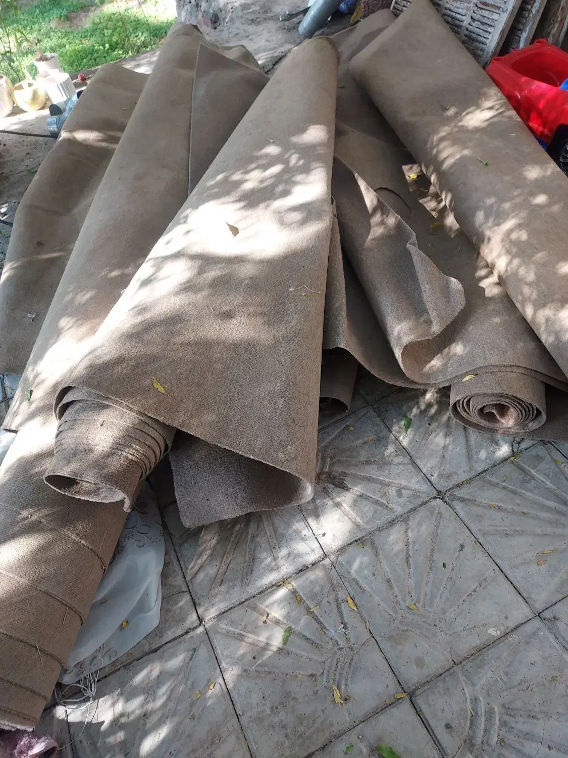 موکت دست دوم اما سالم|موکت|بم, |دیوار