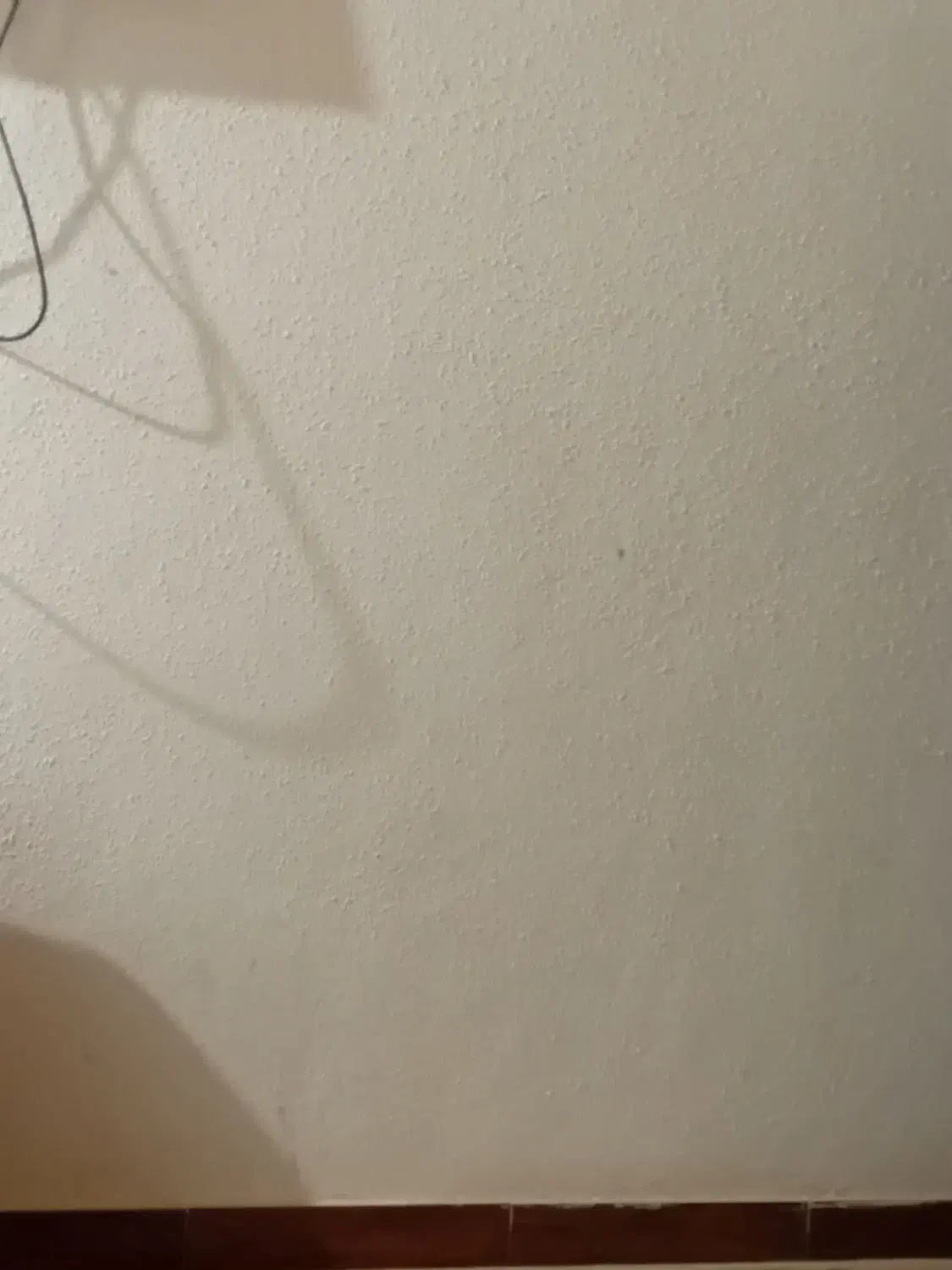 راهنمایی کنید|فعالیت داوطلبانه|بابلسر, |دیوار