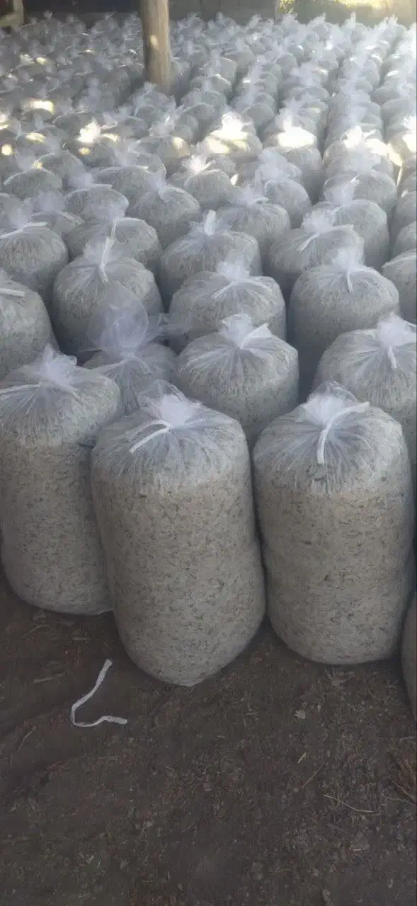 تفاله چغندر بسته بندی و علوفه ذرت|عمده‌فروشی|اهر, |دیوار