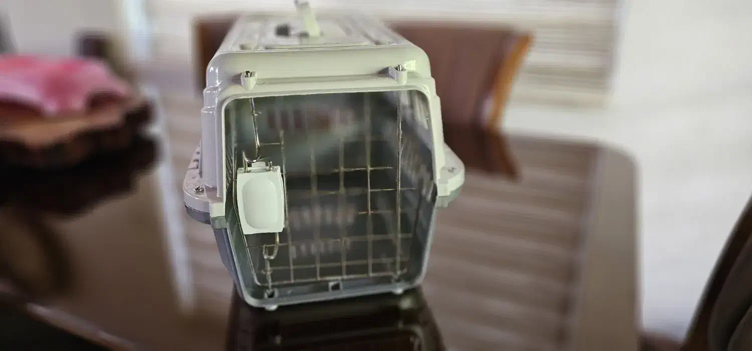 لوازم گربه|لوازم جانبی حیوانات|نوشهر, |دیوار