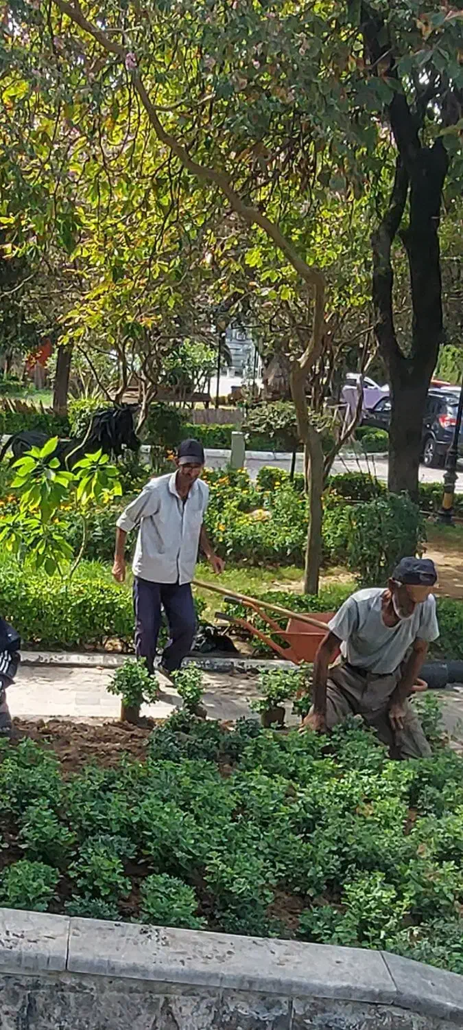 خدمات فضای سبز از صفر تا صد|خدمات باغبانی و درختکاری|بندر انزلی, گلسرخ|دیوار