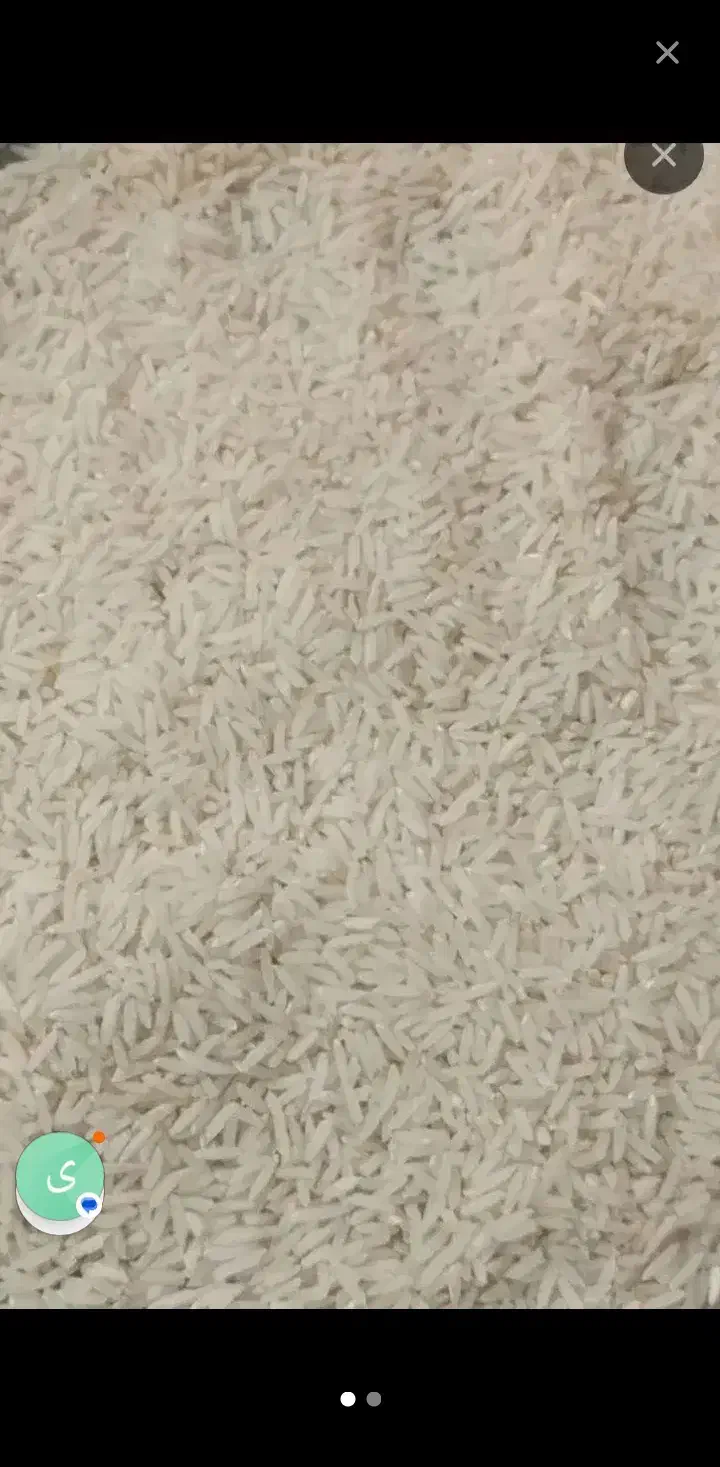 برنج فجر|خوردنی و آشامیدنی|زرندیه, |دیوار