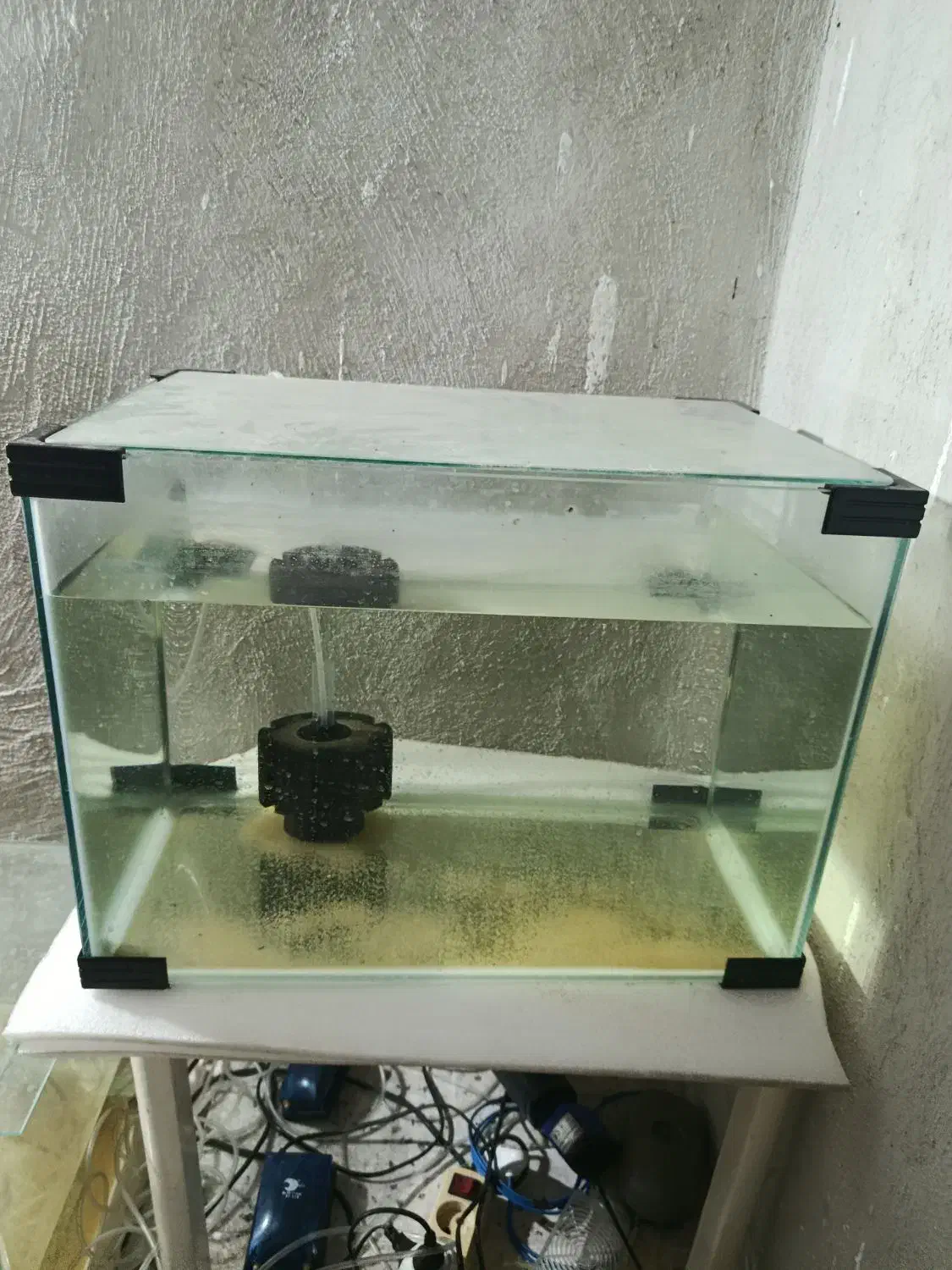 آکواریوم|ماهی|پاکدشت, خاتون آباد|دیوار