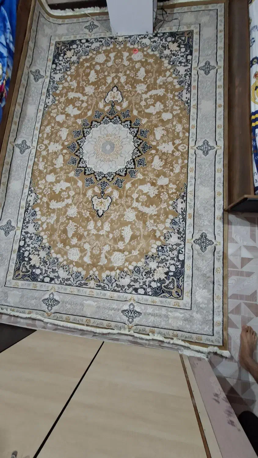 دو عدد فرش 6 متری یک شکل اکبند|فرش|اهواز, سپیدار|دیوار
