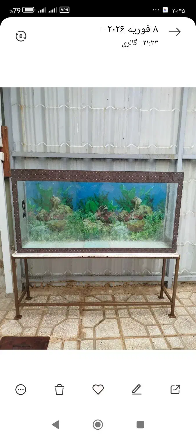 آکواریوم|ماهی|سبزوار, امیریه|دیوار