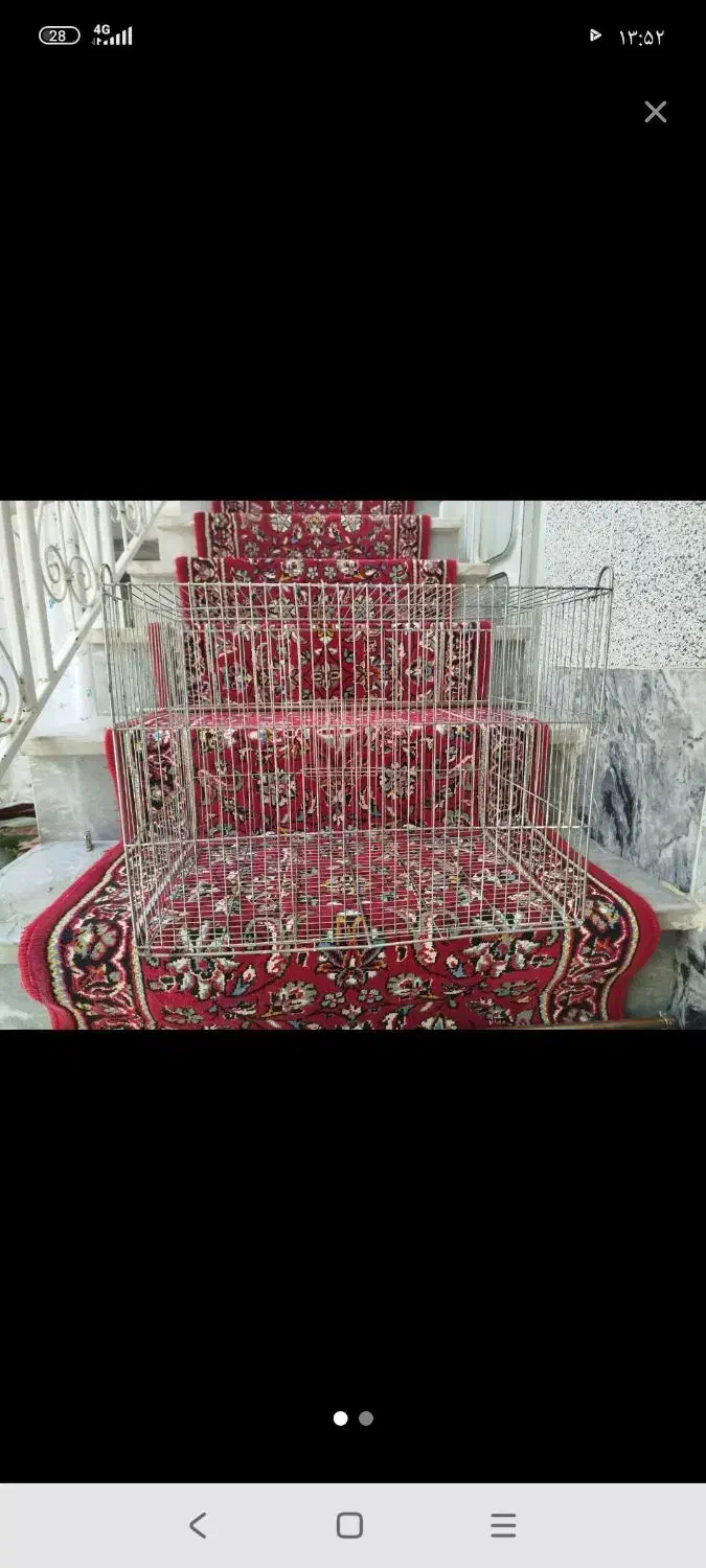 قفس و لونه طوطی سانان|لوازم جانبی حیوانات|میاندوآب, |دیوار