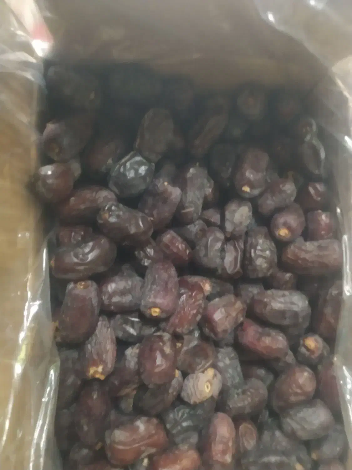 فروشخرما|خوردنی و آشامیدنی|ریگان, |دیوار