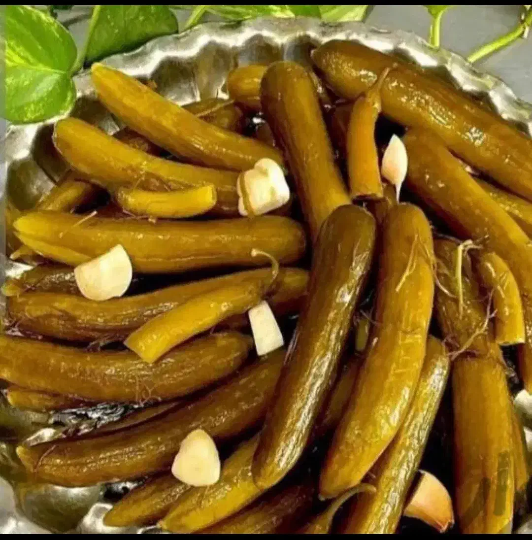 خیارشور خانگی محلی|خوردنی و آشامیدنی|نقده, |دیوار
