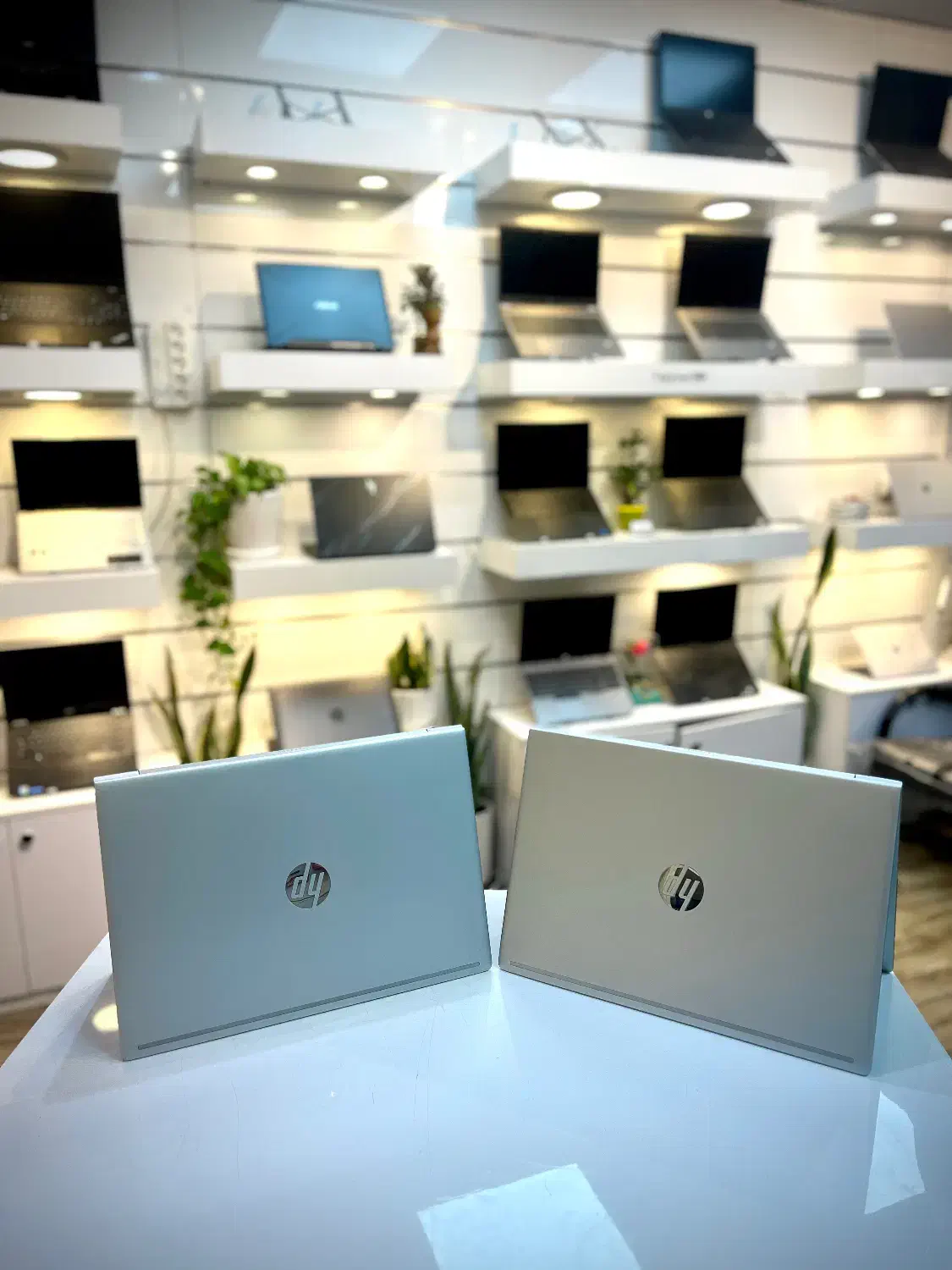 لپتاپ دانشجویی Hp Probook 450 G8|رایانه همراه|پاکدشت, حصار امیر|دیوار