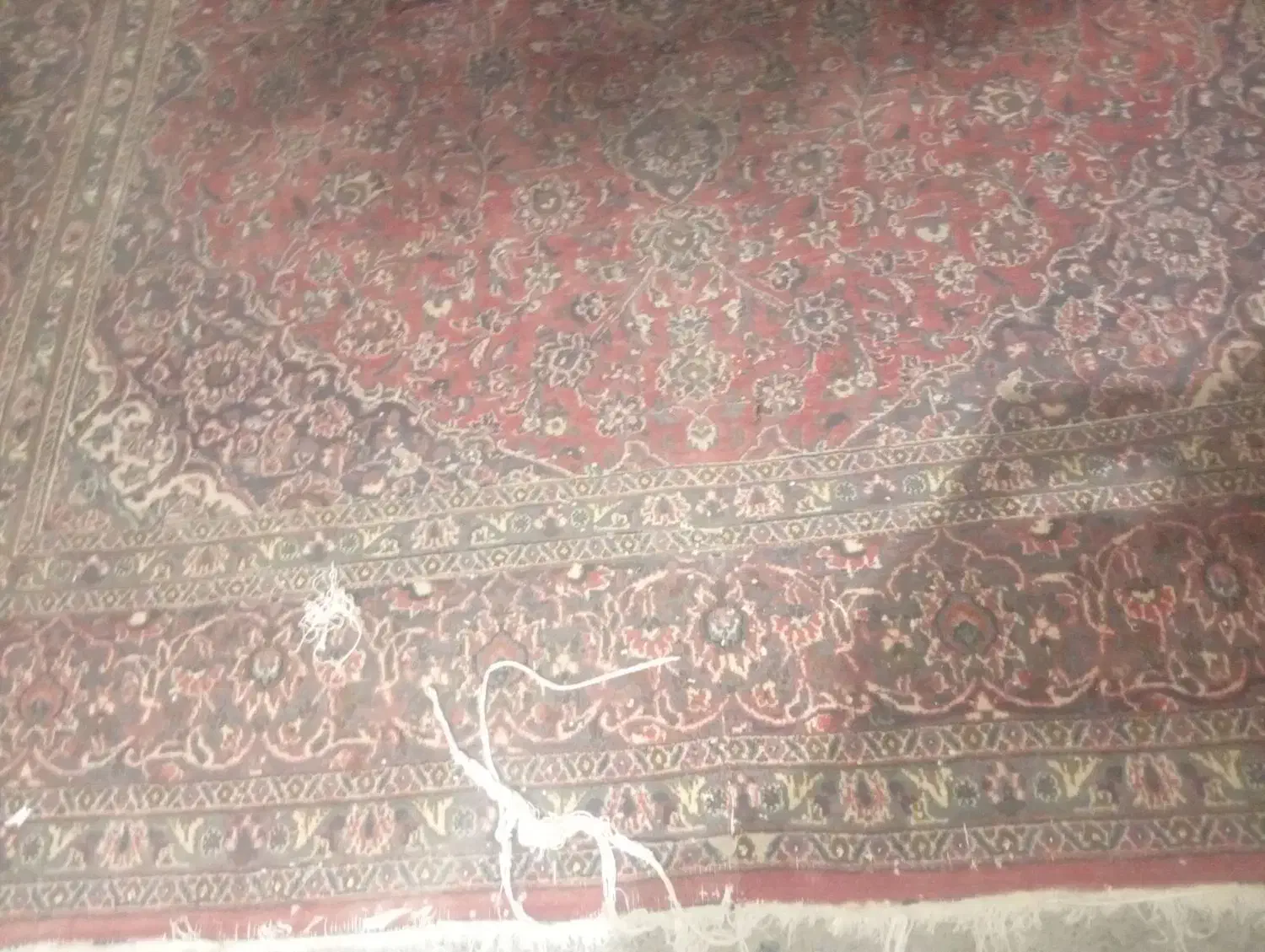 فرش 12متری دست باف|فرش|پاکدشت, پاکدشت (مامازند)|دیوار