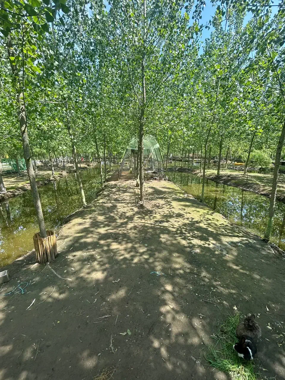 مکان میان آرامش و رویا|فروش خانه و ویلا|جهرم, |دیوار